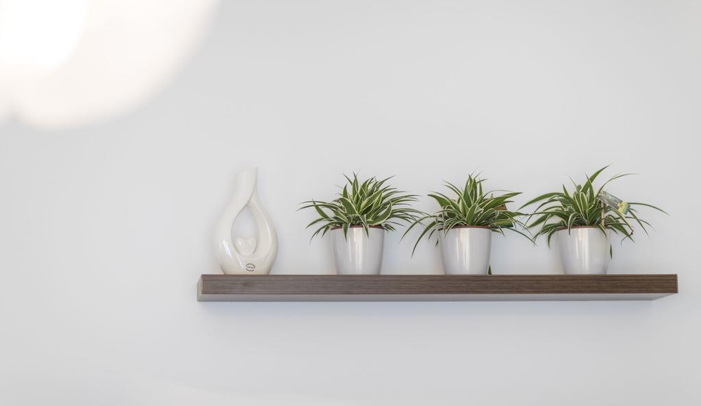 Apartmán Dolní náměstí Olomouc Esterno foto
